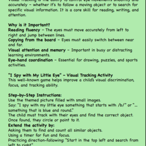 I Spy with my Little Eye-Visual Tracking