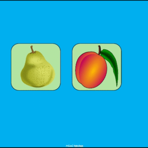 Fruit Memory Game