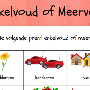 Meervoud 2