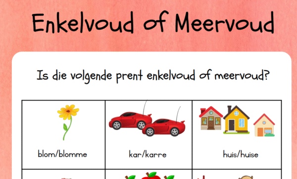Meervoud 2