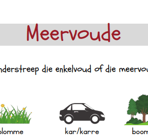 Meervoude 1