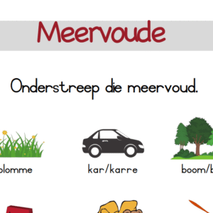Meervoude-_Onderstreep_die_Meervoud