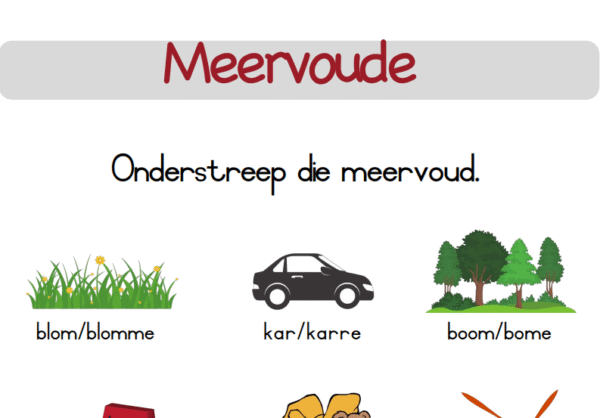 Meervoude-_Onderstreep_die_Meervoud
