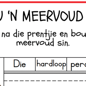 meervoude 3
