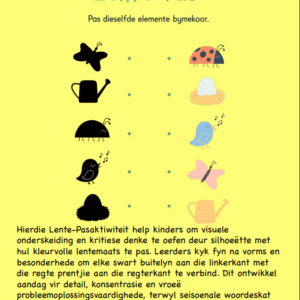 Lente Pas- Visuele Sluiting