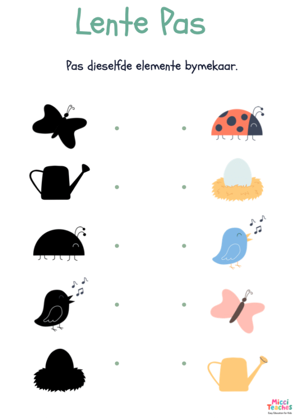 Lente Pas- Visuele Sluiting - Image 2