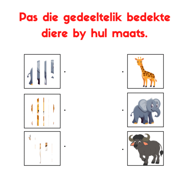 Pas die Gedeeltelik Bedekte Diere by hul Maats- Visuele Nasporing - Image 2