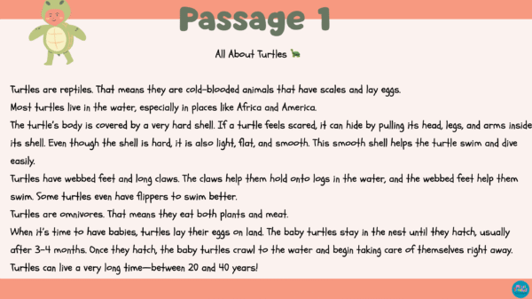3rd Grade Reading Comprehension - Image 2