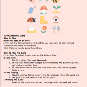Spring Memory Game