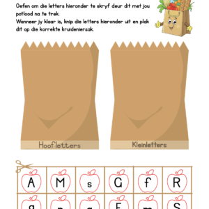 Uppercase and Lowercase Letter Train - Suitable for English and Afrikaans