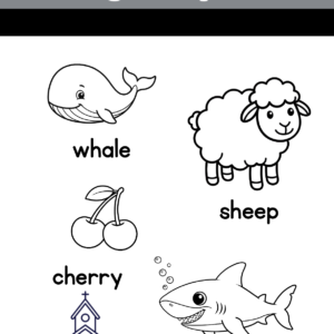 Digraphs Made Simple AND Fun!