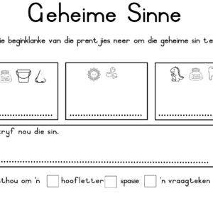 Geheime Sinne