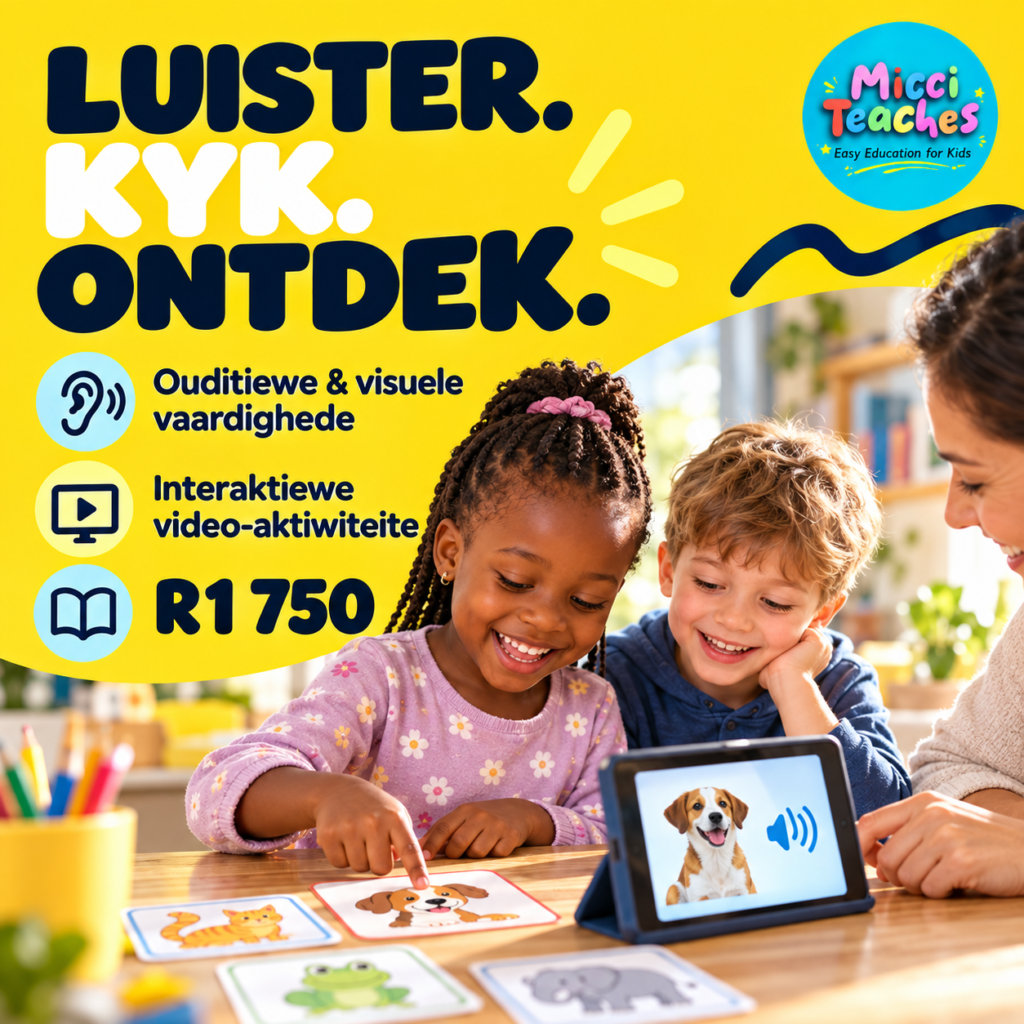 Ouditiewe & Visuele Vaardigheidsprogram