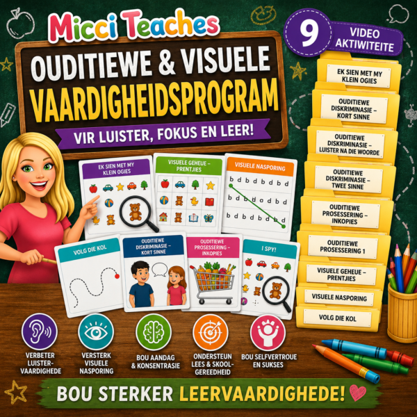 Ouditiewe & Visuele Vaardigheidsprogram