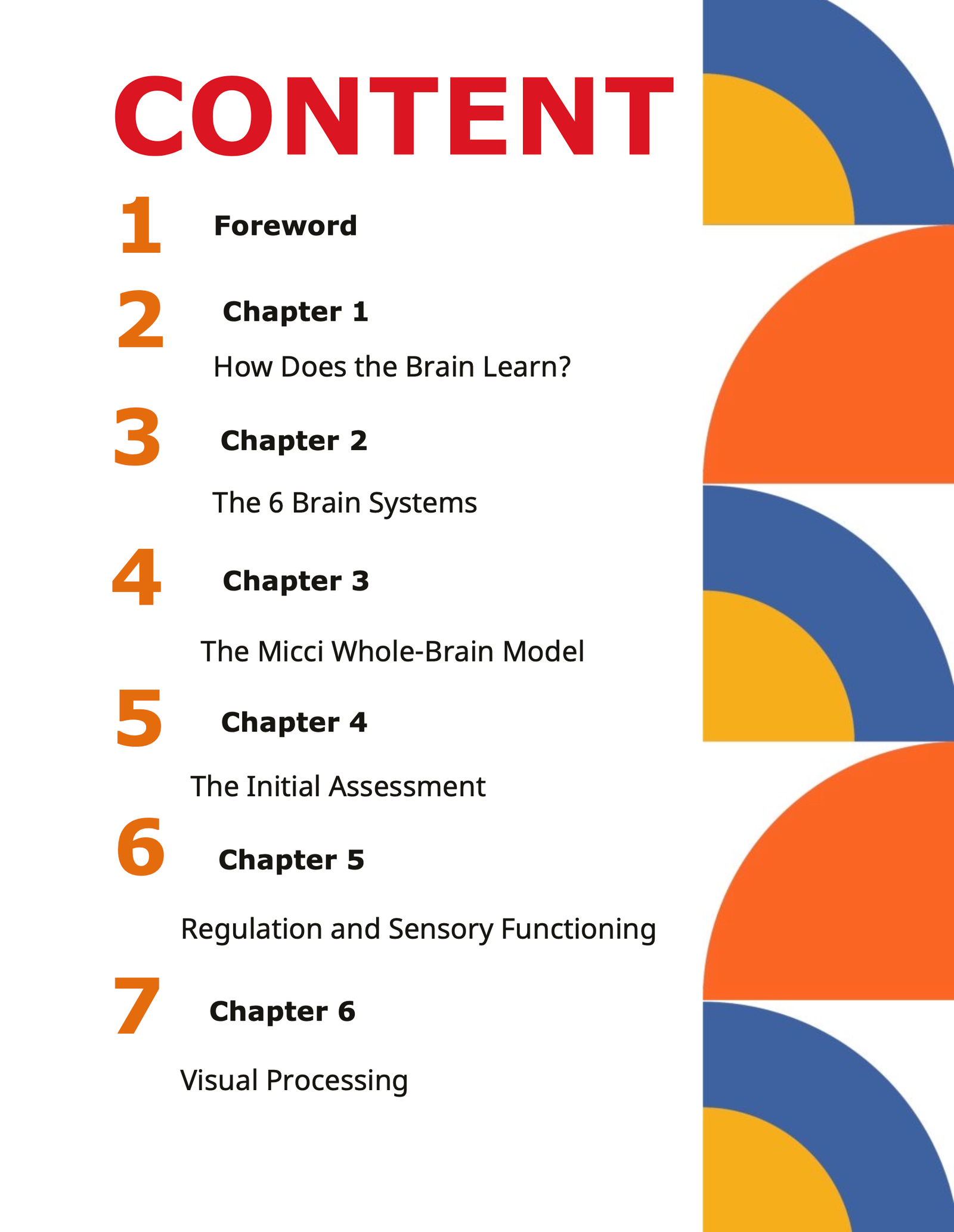 The Micci Brain build Framework - Image 2