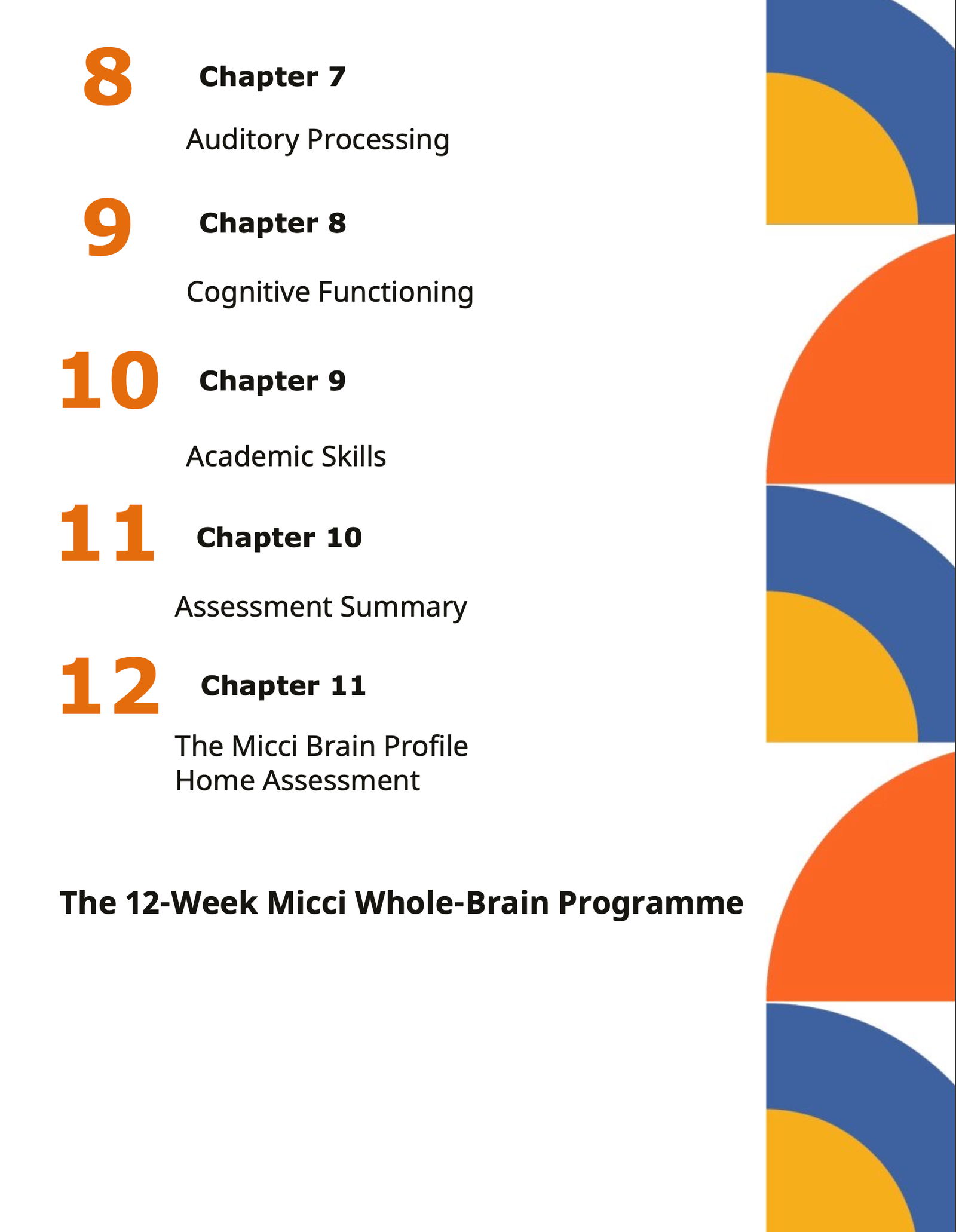 The Micci Brain build Framework - Image 3